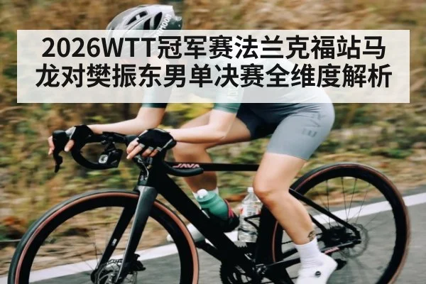 2026WTT冠军赛法兰克福站马龙对樊振东男单决赛全维度解析