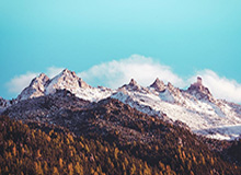 超开心！球迷赛后获得约克雷斯签名兴奋欢呼